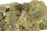 Yellow-Green Cubic Fluorite Crystal Cluster - Morocco #223912-2